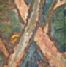 Alberi
